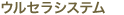 �T�[�}�N�[���l�N�X�g