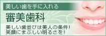 美しい歯を手に入れる審美歯科