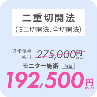 二重切開法（ミニ切開法、全切開法）／モニター施術[両目]192,500円（税込）