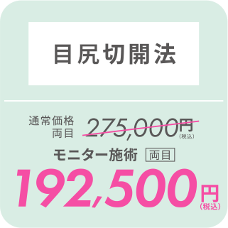 目尻切開法／モニター施術[両目]192,500円（税込）