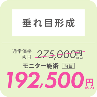 垂れ目形成／モニター施術[両目]192,500円（税込）