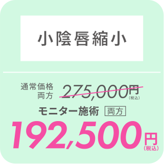 小陰唇縮小／モニター施術[両目]192,500円（税込）