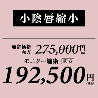 銀座高須クリニック/木・金曜日限定/部分モニターキャンペーン/小陰唇縮小30%OFF