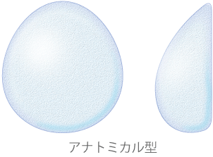 アナトミカル型