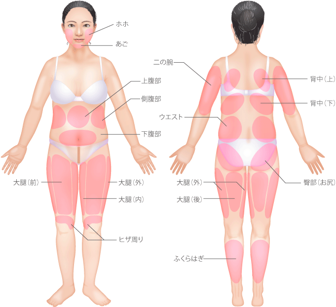 脂肪吸引なら高須クリニック 美容外科 高須クリニック