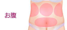 お腹