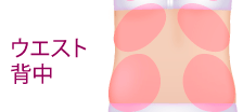 ウエスト背中