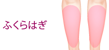 ふくらはぎ