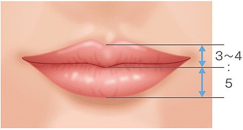 ヒアルロン酸で唇を厚く ふっくら アヒル口etc 口もと 口元 くちびる 唇 美容外科 高須クリニック