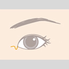 理想的な目と目の間隔 比率は 目の横幅 縦幅は 黒目の大きさ 見える面積の割合は Dr 高須幹弥の美容整形講座 美容整形の高須クリニック